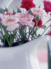 نمونه پروپوزال آماده روانشناسی در مورد ویژگی های شخصیتی